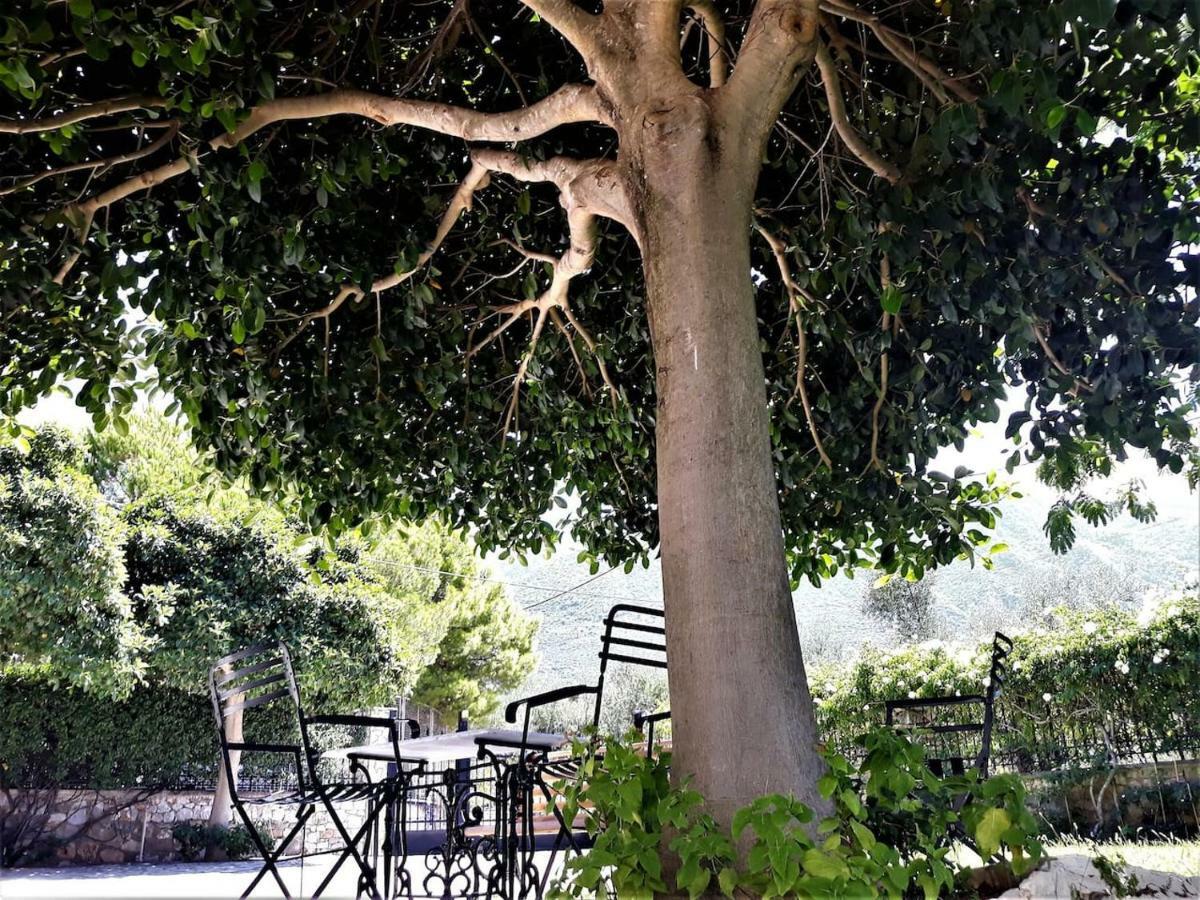 Luxury Country House In Kalamata / Sp Εξωτερικό φωτογραφία
