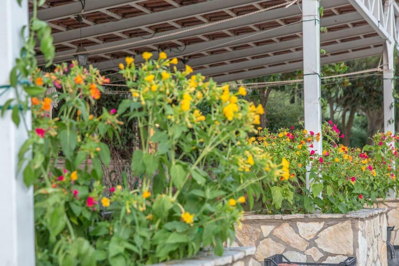Luxury Country House In Kalamata / Sp Εξωτερικό φωτογραφία